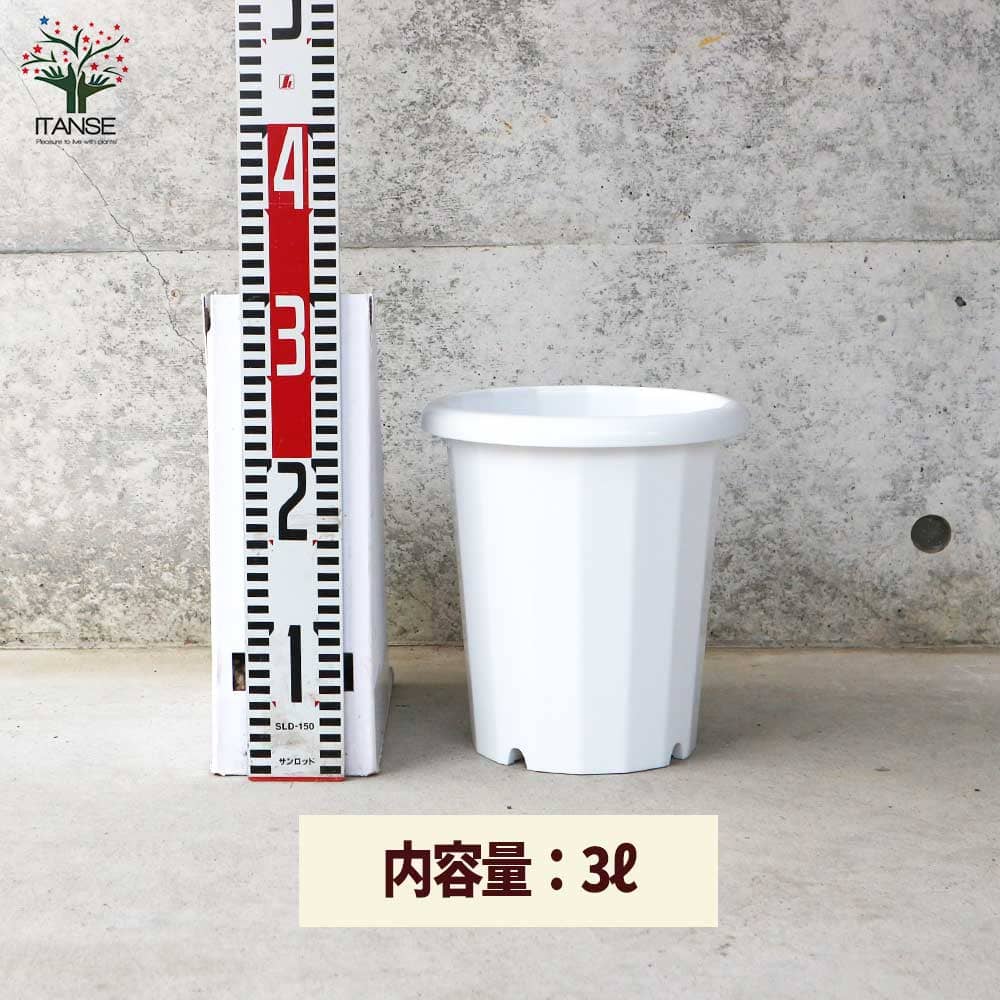 長鉢 【資材 7号】