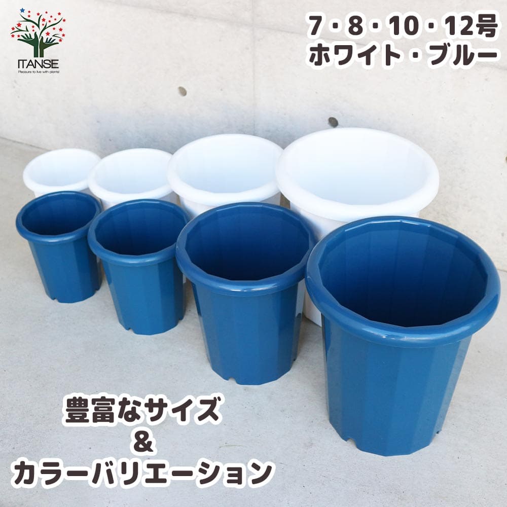 長鉢 【資材 7号】