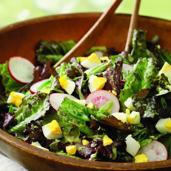 ”サラダレタス5品種ミックスの大苗”繰り返し何回も収穫可能!【野菜苗18cm硬質ポット大苗1個／肥料付き】