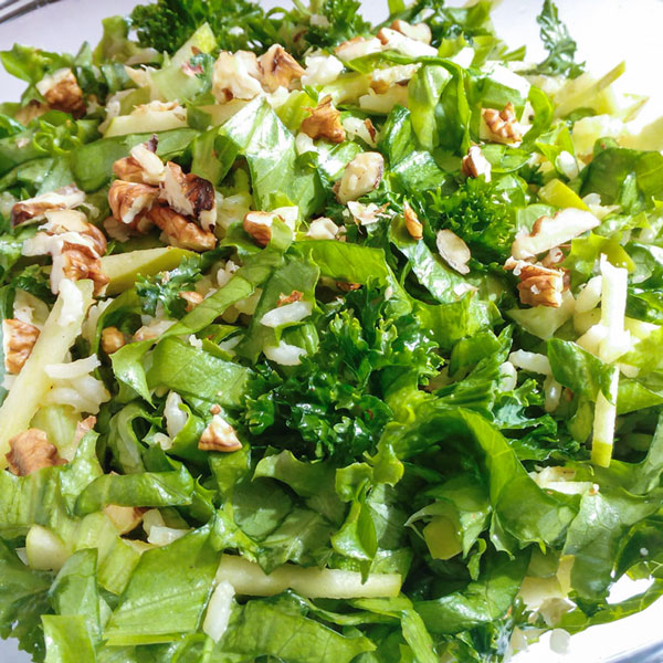 ”サラダレタス5品種ミックスの大苗”繰り返し何回も収穫可能!【野菜苗18cm硬質ポット大苗1個／肥料付き】