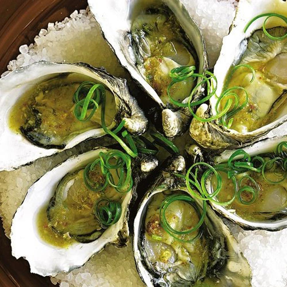 フィンガーライムの苗 ダーラムエメラルド【果樹の苗 9cmポット 1年生