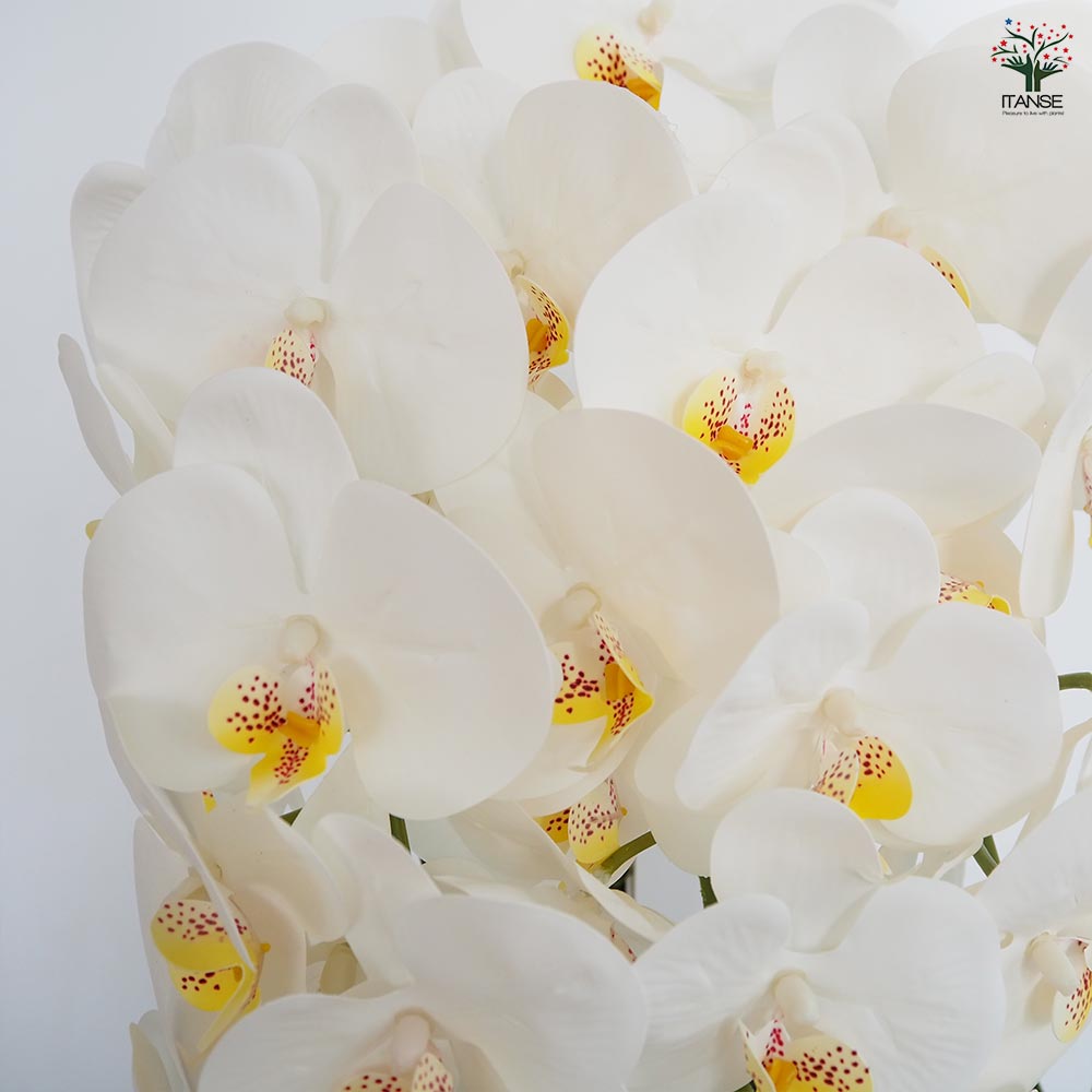 胡蝶蘭 造花 胡蝶蘭(ホワイト) 造花 通販｜《公式》ココバリ