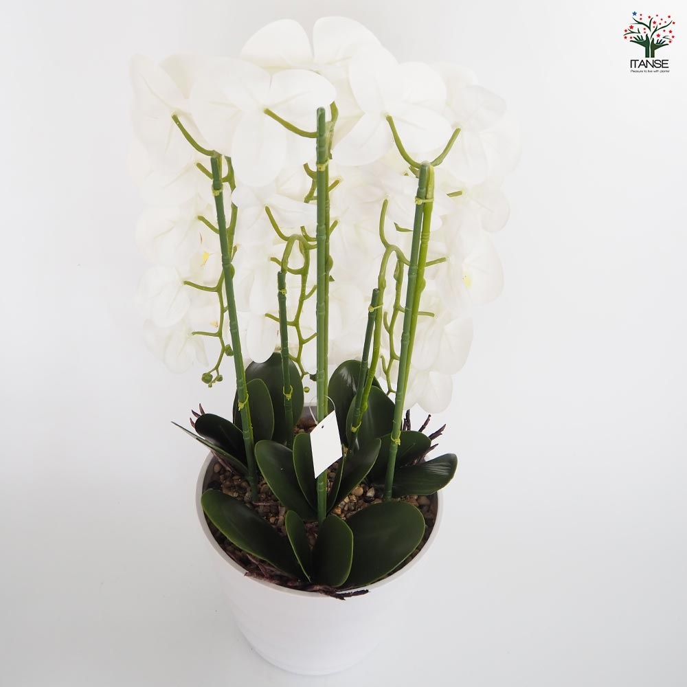 造花 胡蝶蘭 白花 【造花 Cタイプ／1個売り】｜ 【植物のITANSE