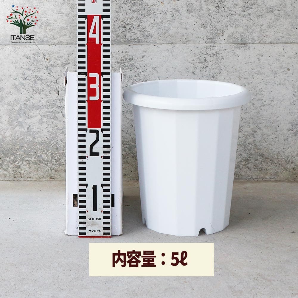 長鉢 【資材 8号】