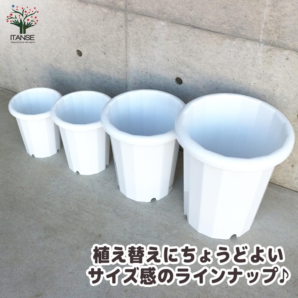 長鉢 【資材 8号】