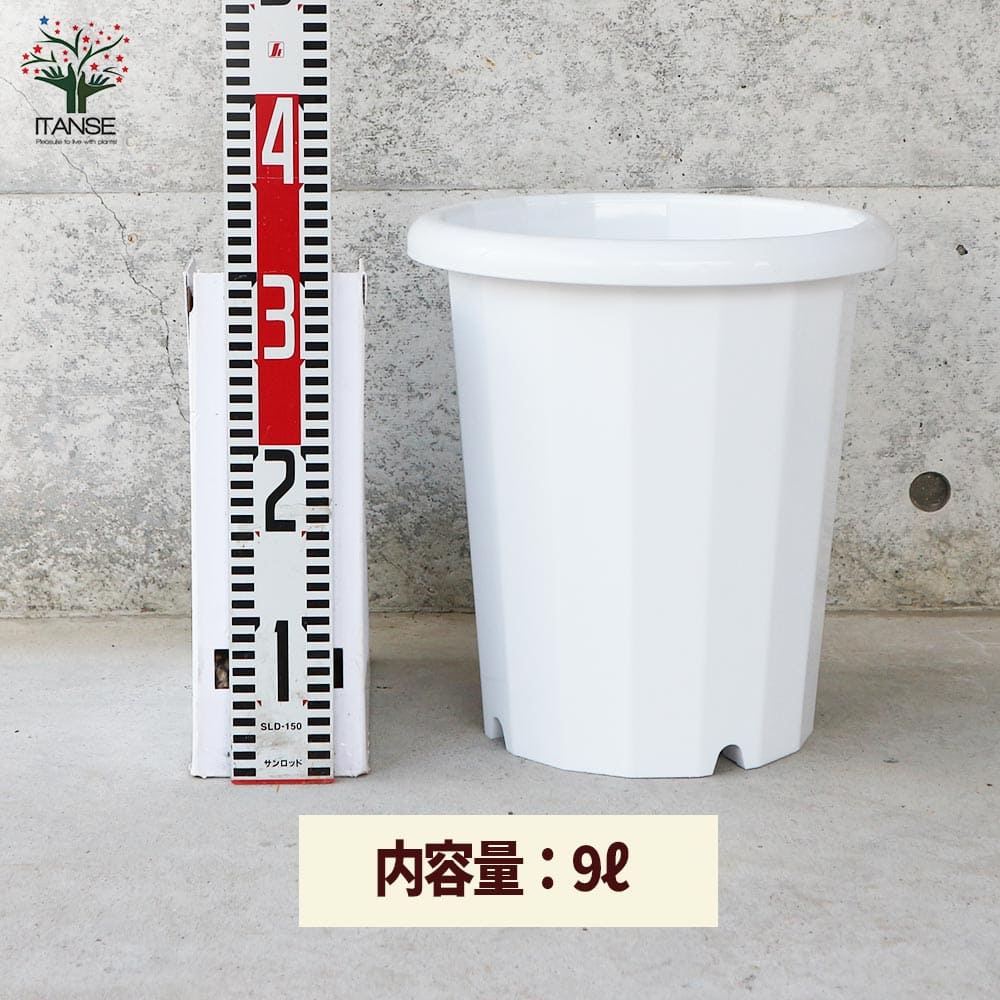 長鉢 【資材 10号】