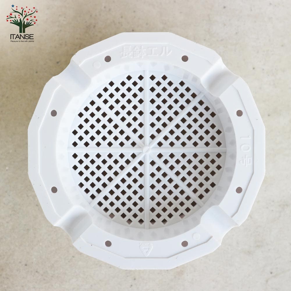 長鉢 【資材 10号】