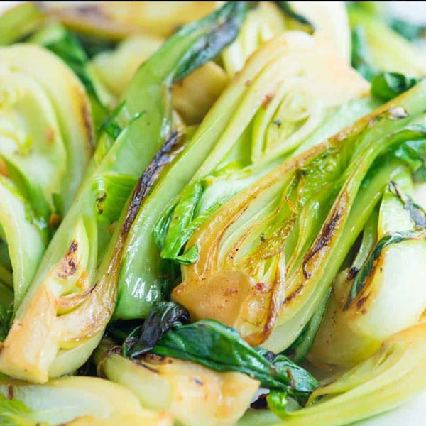 「美味しい”冬どり白菜”の苗」黄芯系中晩生品種【野菜苗9cmポット お買い得3個セット】