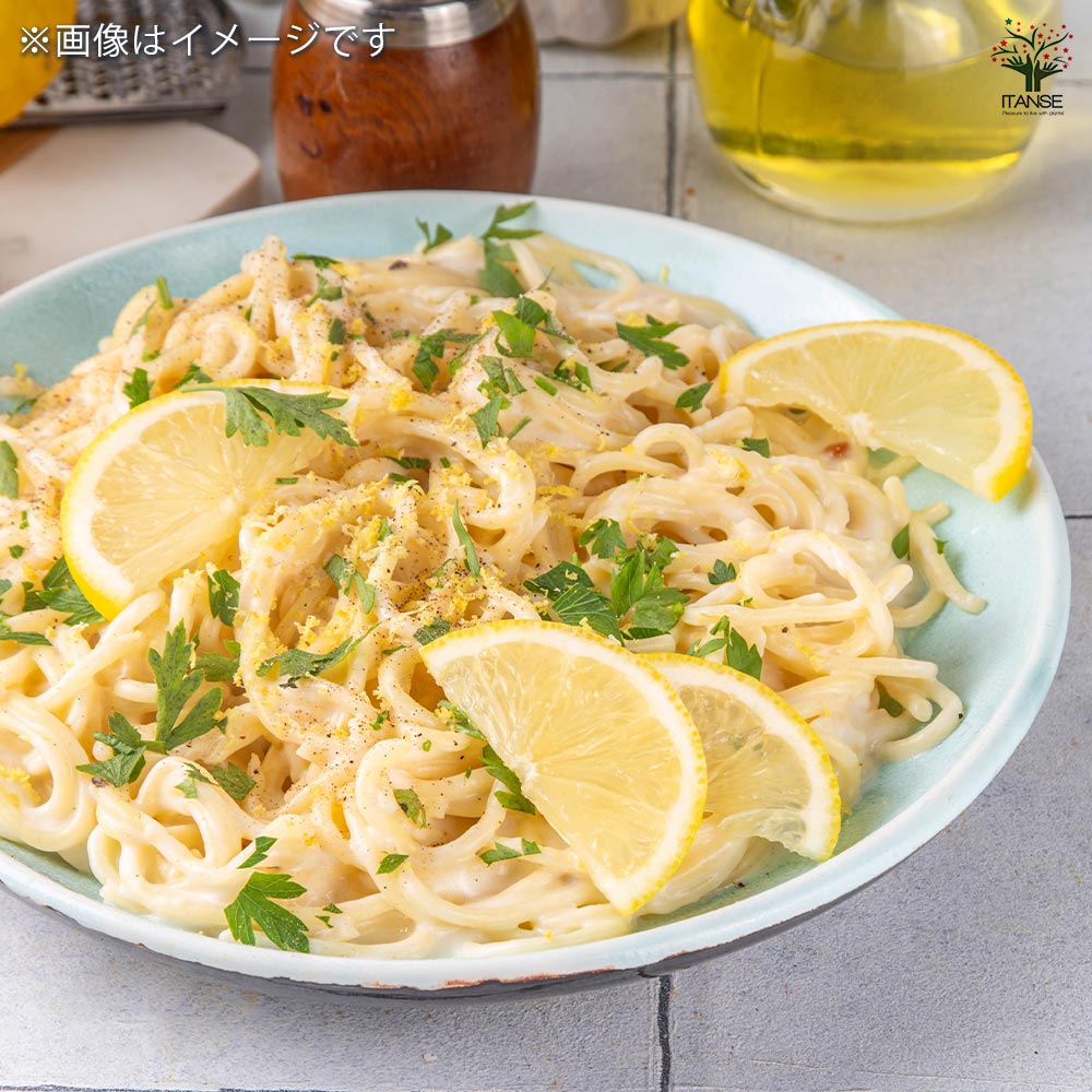 レモンの苗木 シシリアン 【果樹の苗木 7号／1個売り】