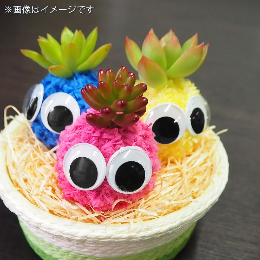 多肉寄せ植え モスビー 三兄弟 バスケット 【多肉植物 】｜ 【植物の