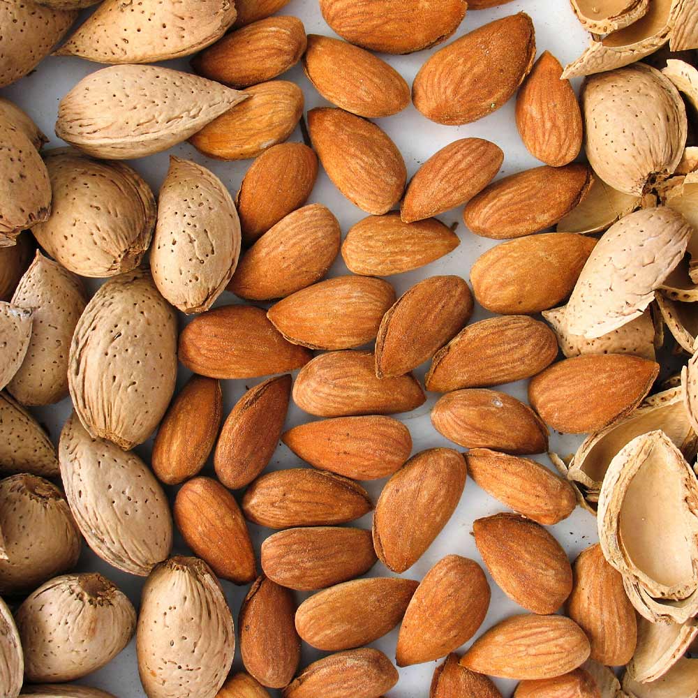 Itanse良品ｾﾚｸﾄ通販