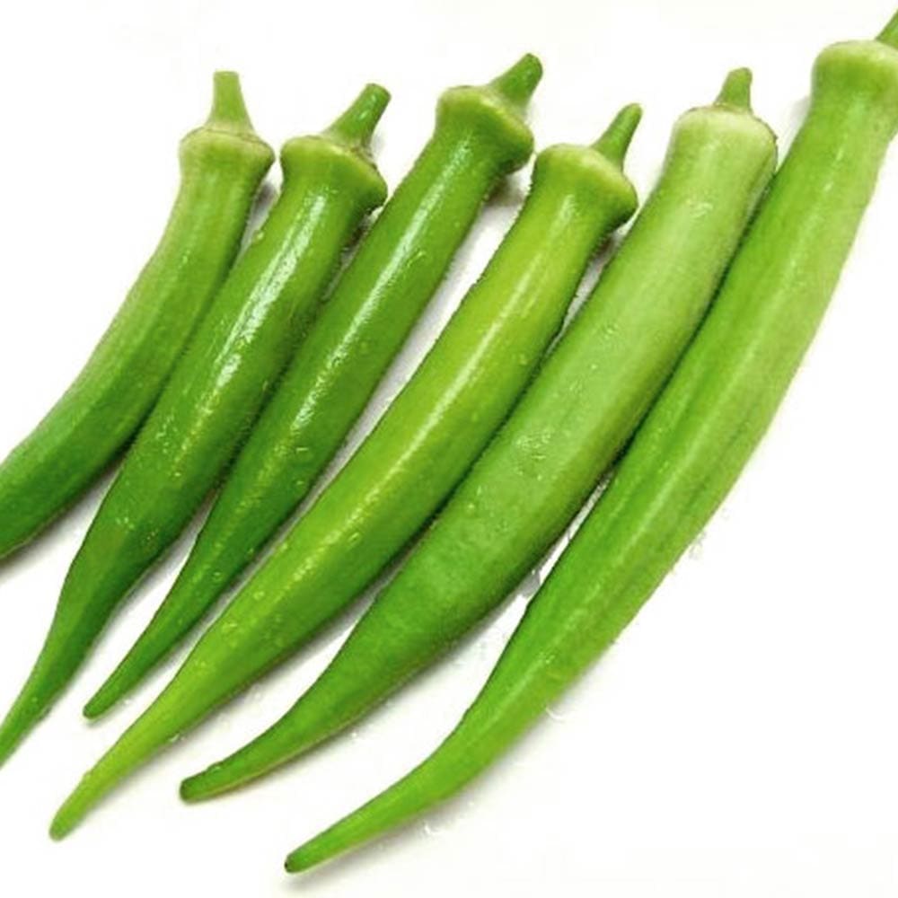 オクラ苗 夏植え丸さやオクラ4個～【野菜苗 9cmポット実生苗】