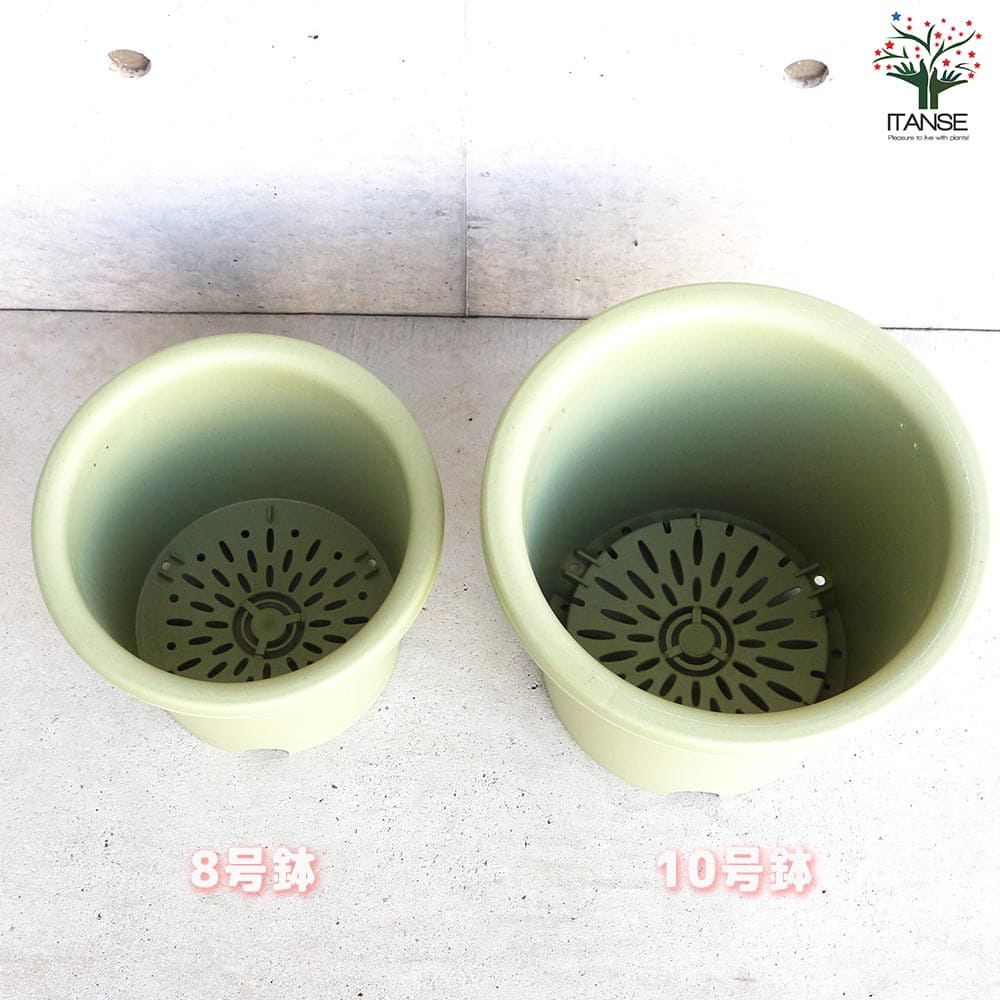 菜園鉢 色：グリーン【資材】