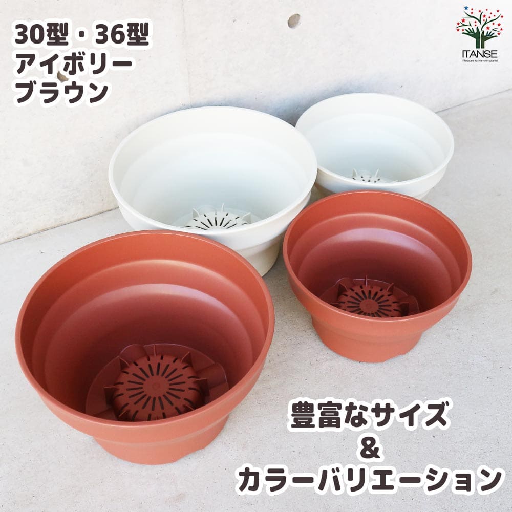フレグラーボール 【資材 30型】