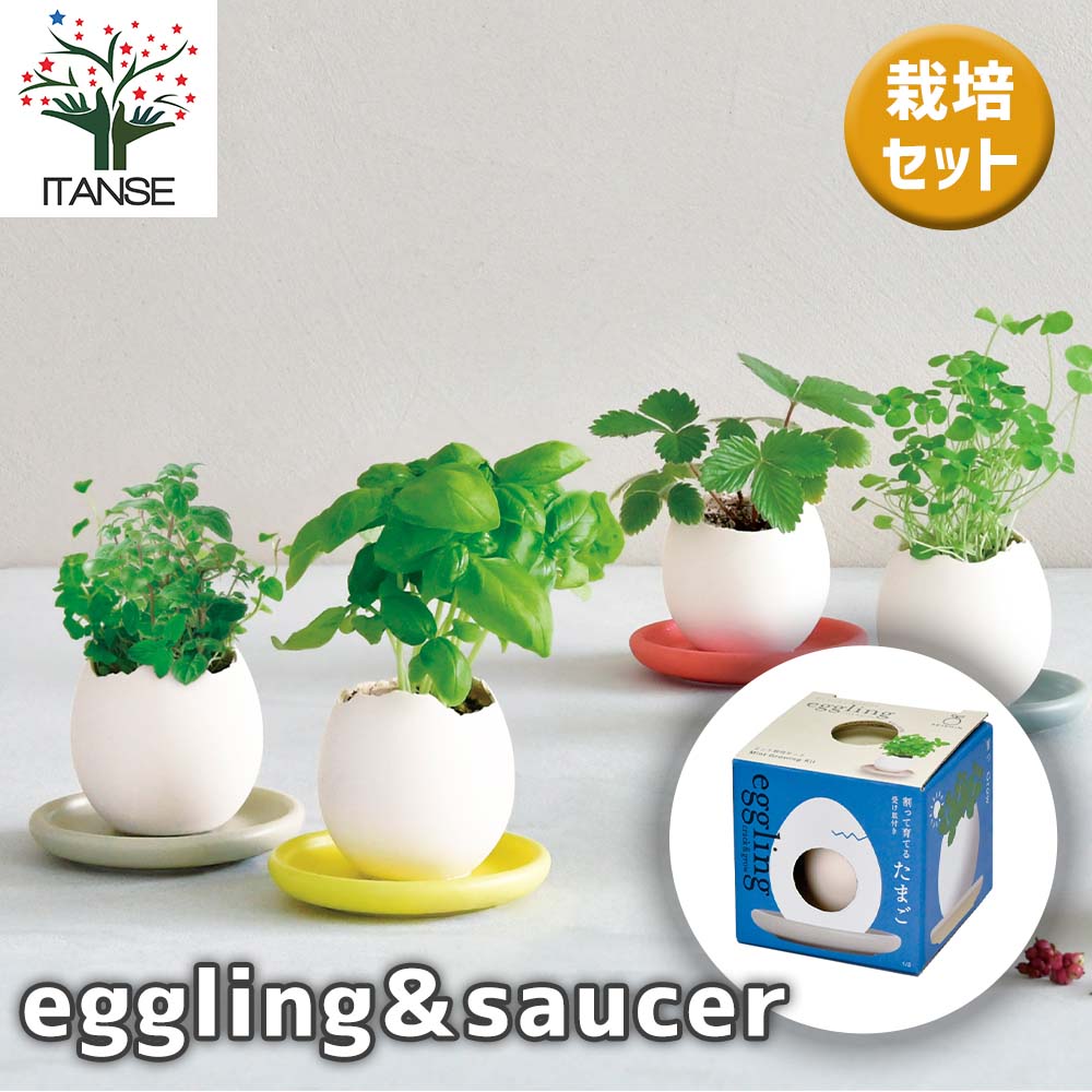 栽培セット eggling＆SAUCER エッグリング【おしゃれな栽培キット
