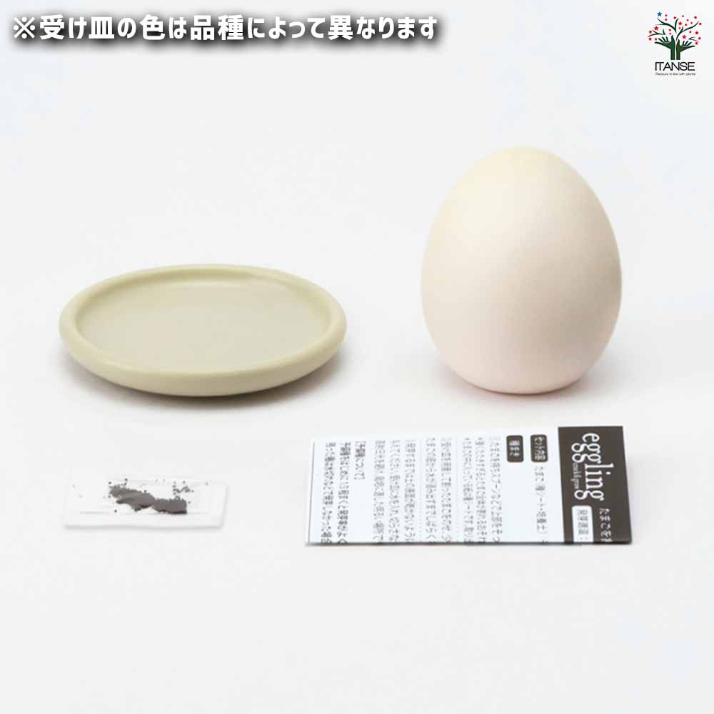 栽培セット eggling＆SAUCER エッグリング【おしゃれな栽培キット】