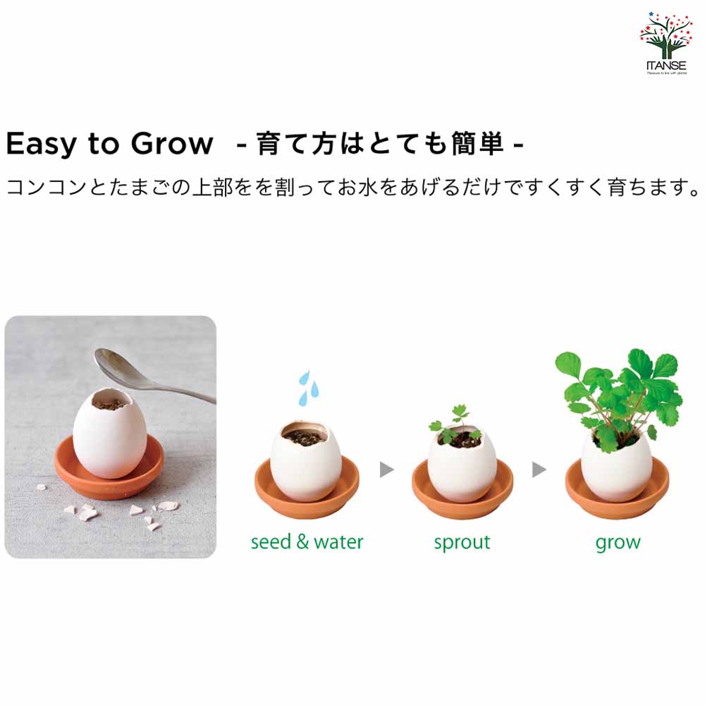 栽培セット eggling＆SAUCER エッグリング【おしゃれな栽培キット】