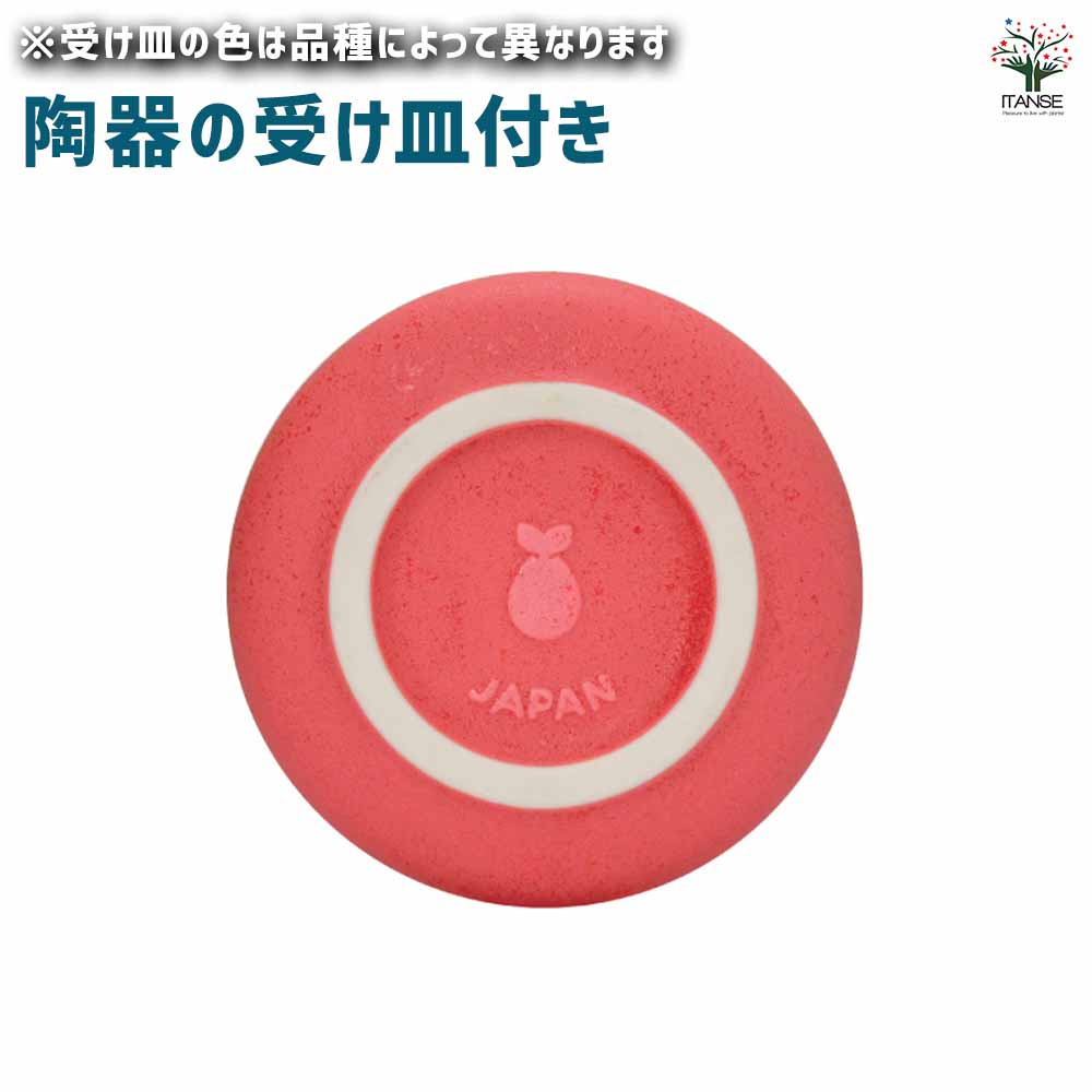 栽培セット eggling＆SAUCER エッグリング【おしゃれな栽培キット】