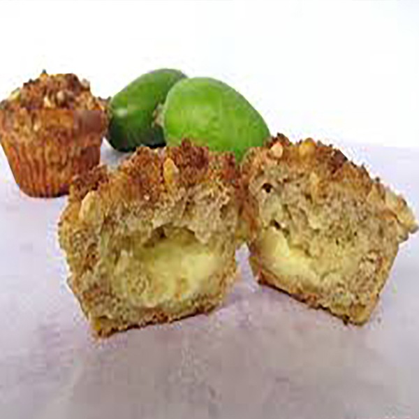 フェイジョア アポロ:花も美しい庭園向き果樹 18cmポット:樹高約40~60cm 【九州圃場より直送】