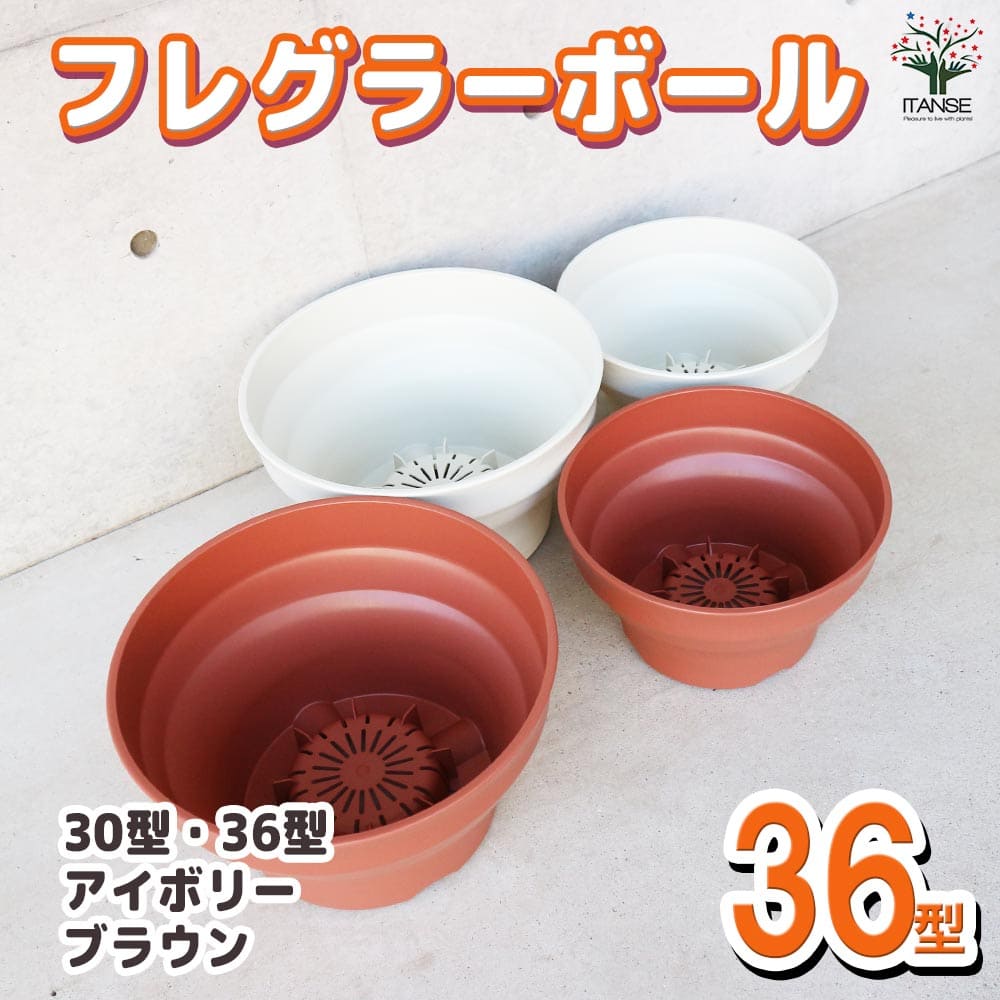 フレグラーボール 【資材 36型】