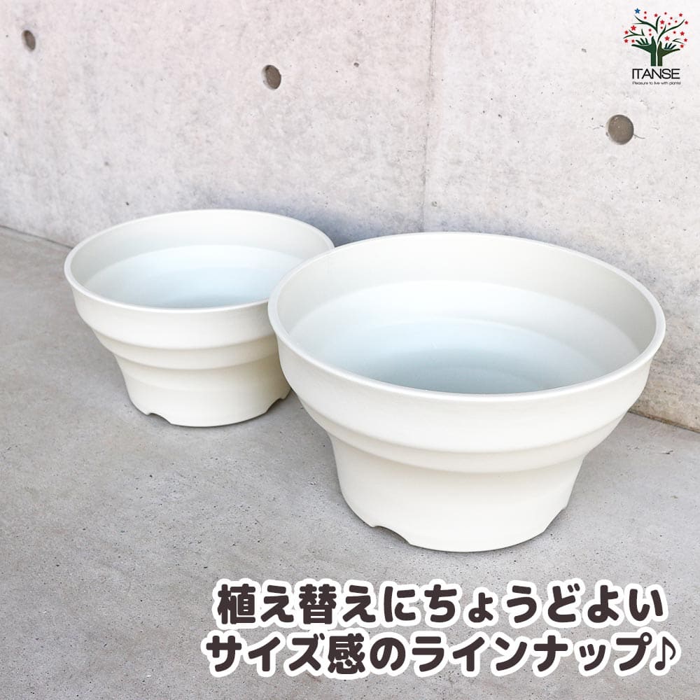 フレグラーボール 【資材 36型】