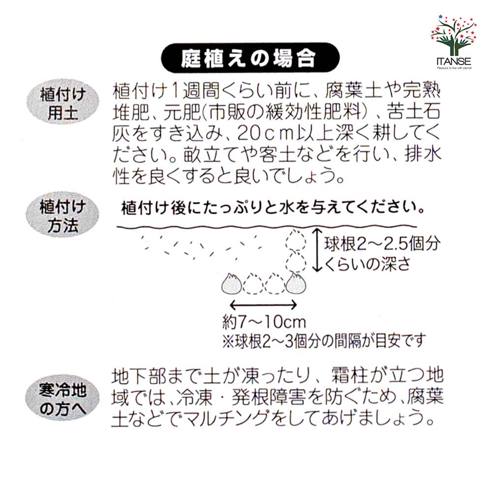 Itanse良品ｾﾚｸﾄ通販