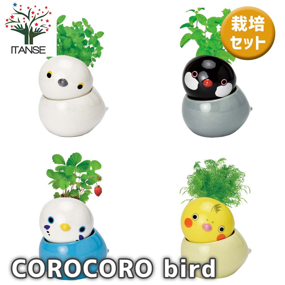 ころころさま専用ページ♡カントリーハート　木製フェンス　肉球 VENTOTA ペット用サークル ドア付 折りたたみ可能 犬 猫 うさぎ