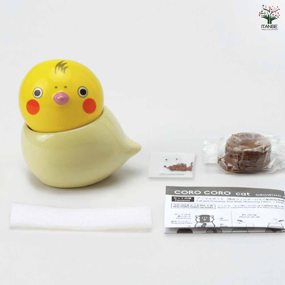栽培セット COROCORO bird コロコロバード【おしゃれな栽培キット 】