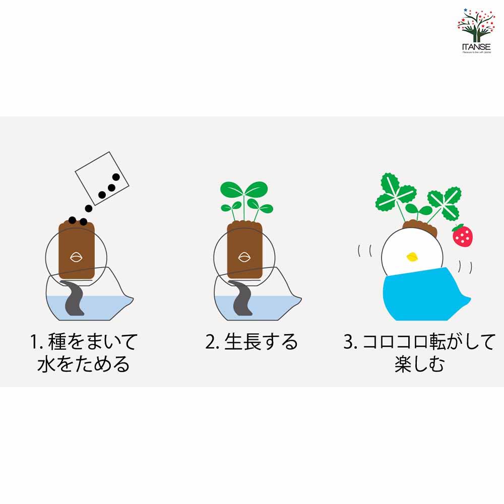 栽培セット COROCORO bird コロコロバード【おしゃれな栽培キット 】
