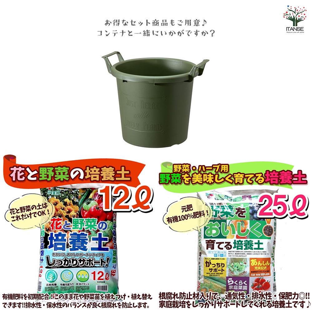 グロウコンテナ ／選べるサイズ・カラー 園芸用品【資材】｜ 【植物の