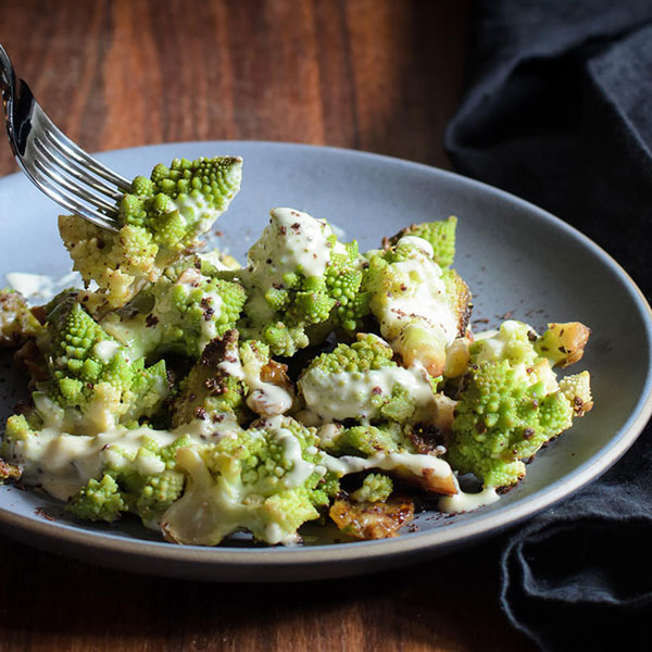 「極旨!ロマネスコ ユーロスター カリフラワーの苗 お買い得3個セット」【野菜苗9cmポット お買い得3個セット】