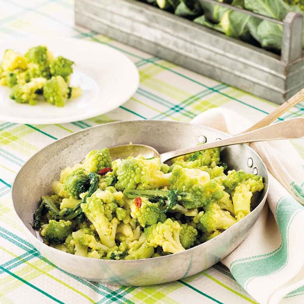 「極旨!ロマネスコ ユーロスター カリフラワーの苗 お買い得3個セット」【野菜苗9cmポット お買い得3個セット】