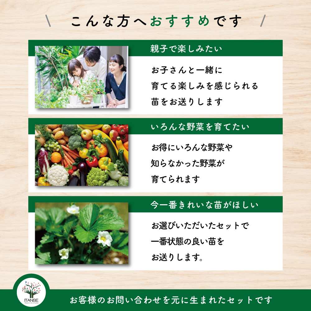 おまかせ野菜セット【野菜の苗 3.5号】