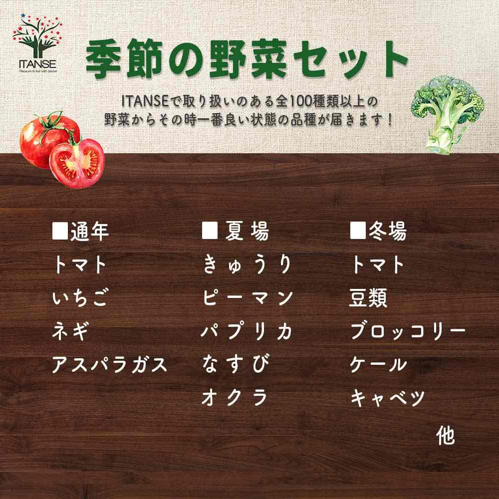 おまかせ野菜セット【野菜の苗 3.5号】