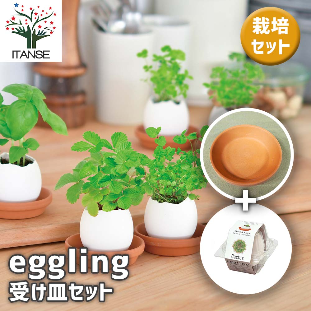 栽培セット eggling 受け皿付き エッグリング【おしゃれな栽培キット
