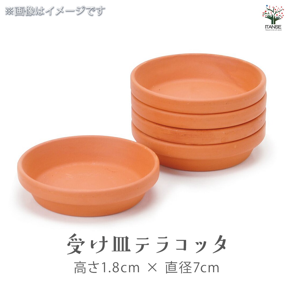 栽培セット eggling 受け皿付き エッグリング【おしゃれな栽培キット 】