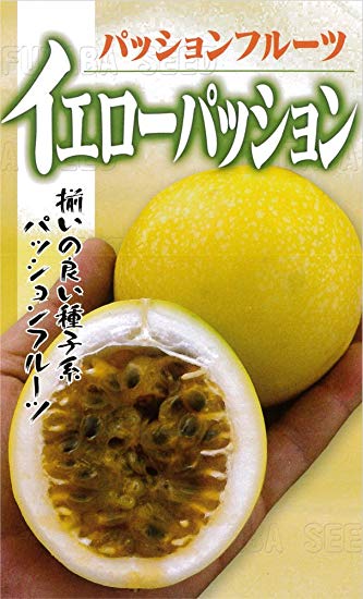 珍しい果物種子!!「イエローパッションフルーツ」花も実も