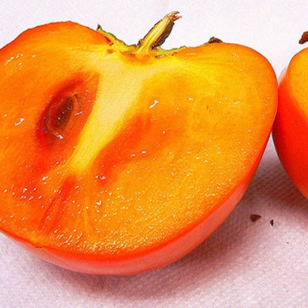 最高級、柿の木の苗木と、季節のお鉢苗セット。匿名送料無料です。 最高級柿の木の苗木と、季節のお鉢苗と種のセット+選べる