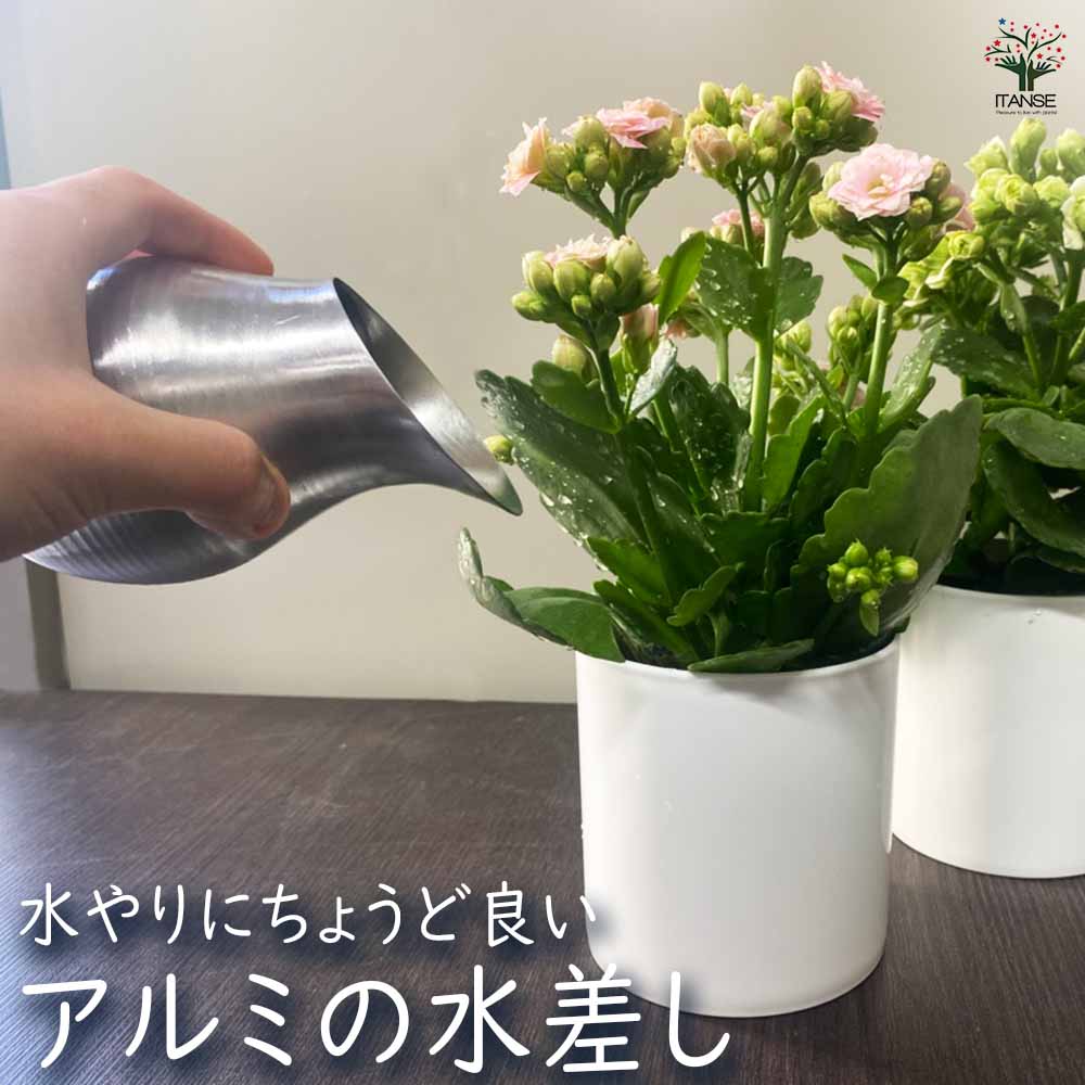 ジョウロ アルミの水差し 【水やりグッズ】