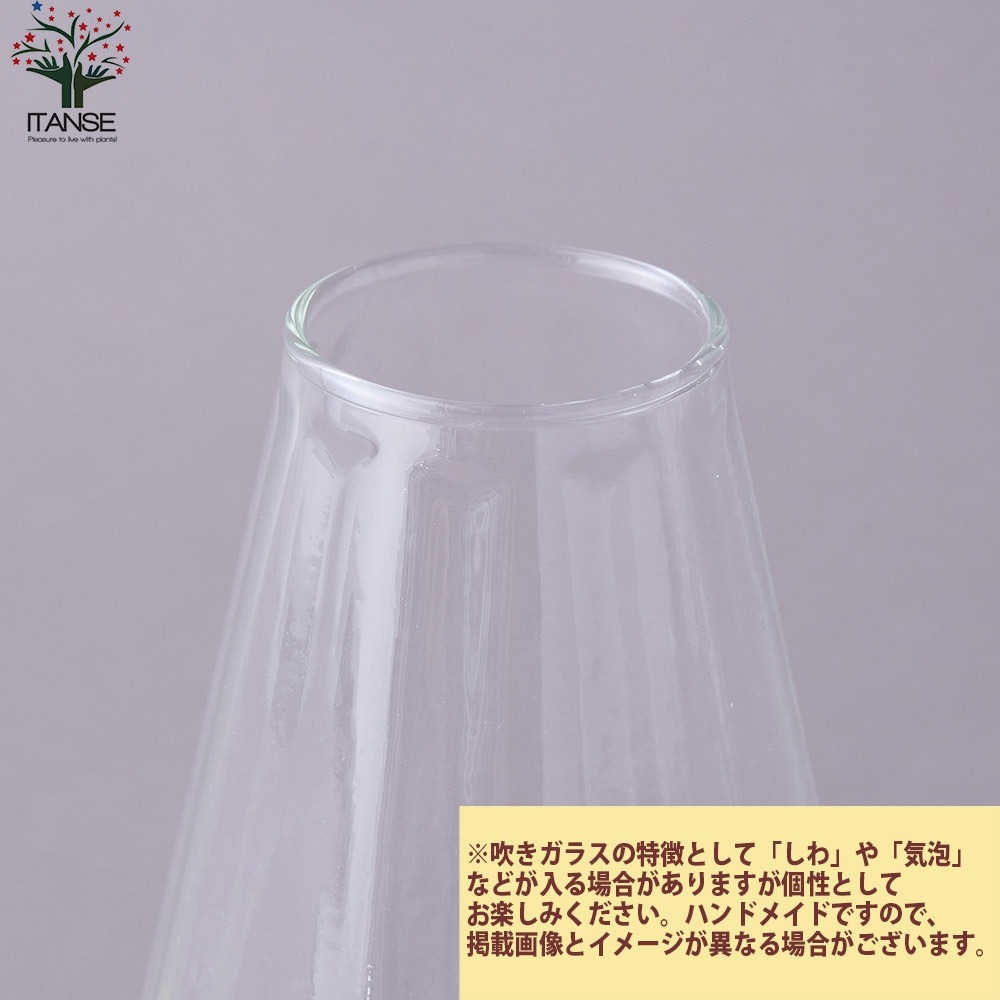 フラワーベース マフルL【吹きガラス／Size:最大部分直径13cm×高さ23cm
