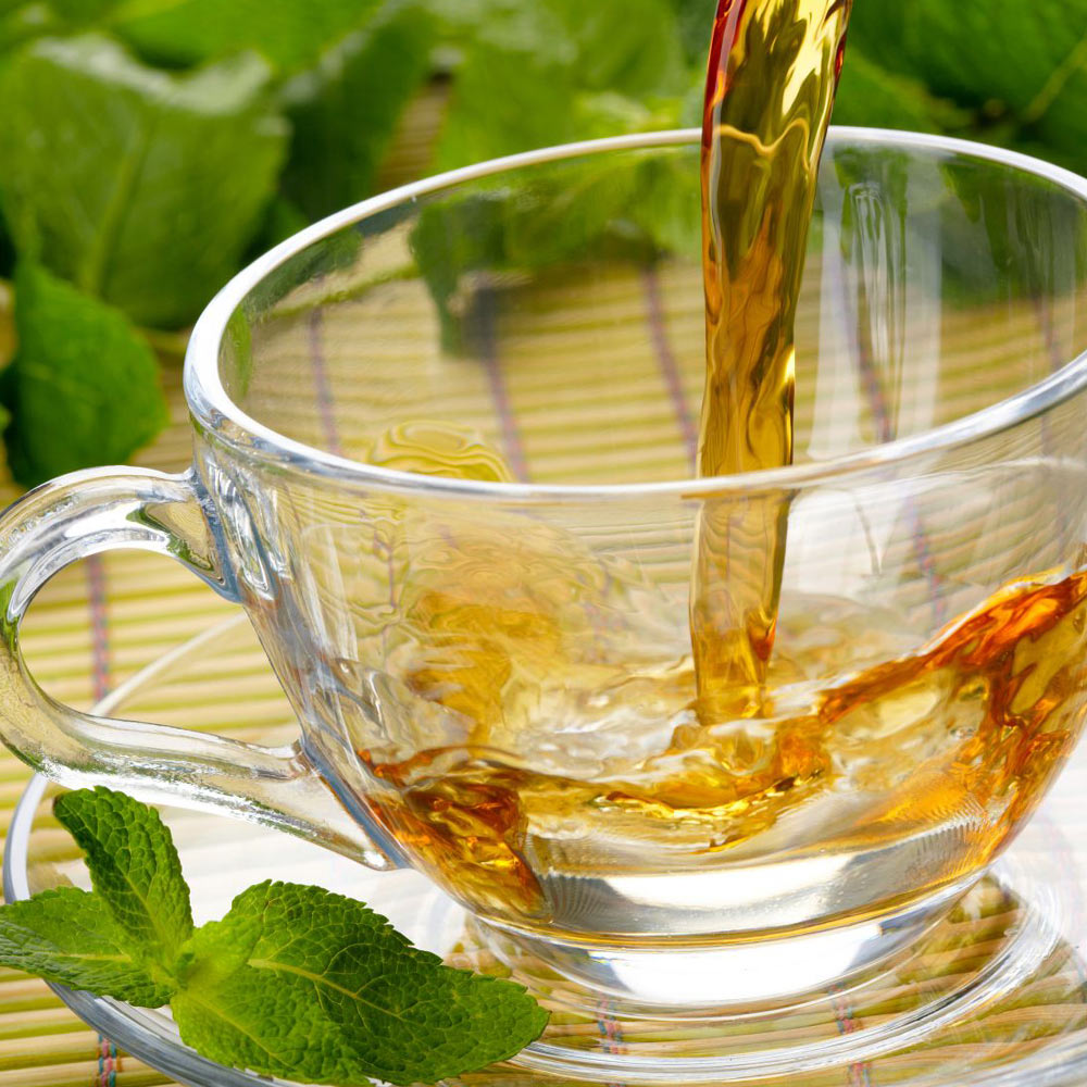 「ボルトジンユ」(人気上昇中の健康ハーブ)ハーブ9cmポット苗【2個セット】