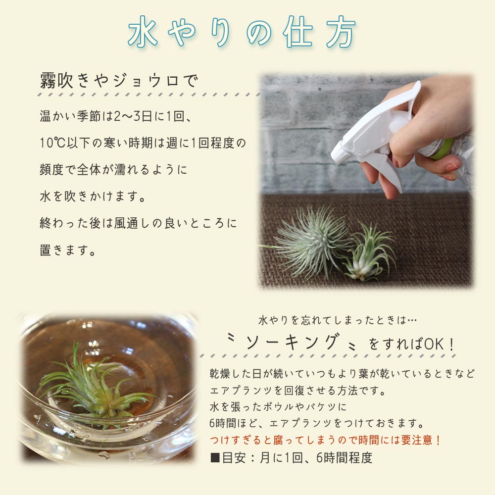 Itanse良品セレクト通販 Itanse良品セレクト通販