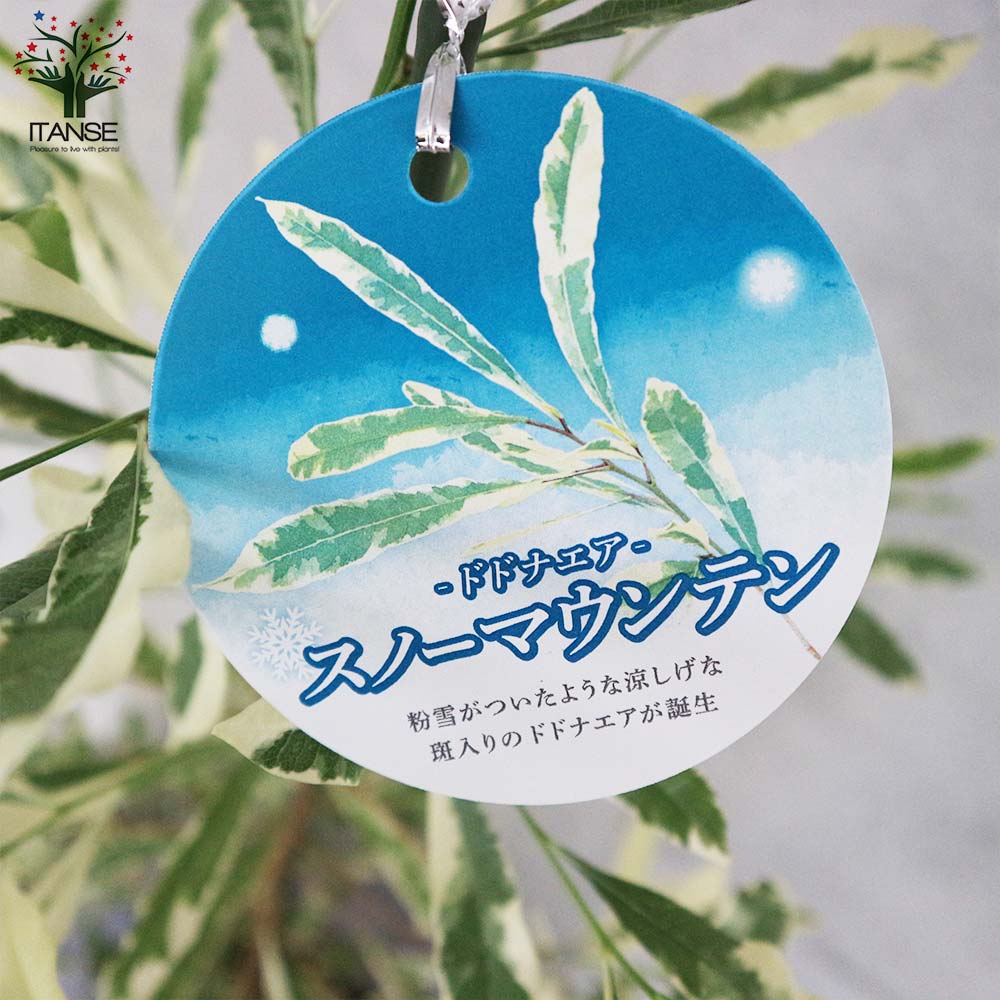 Itanse良品ｾﾚｸﾄ通販