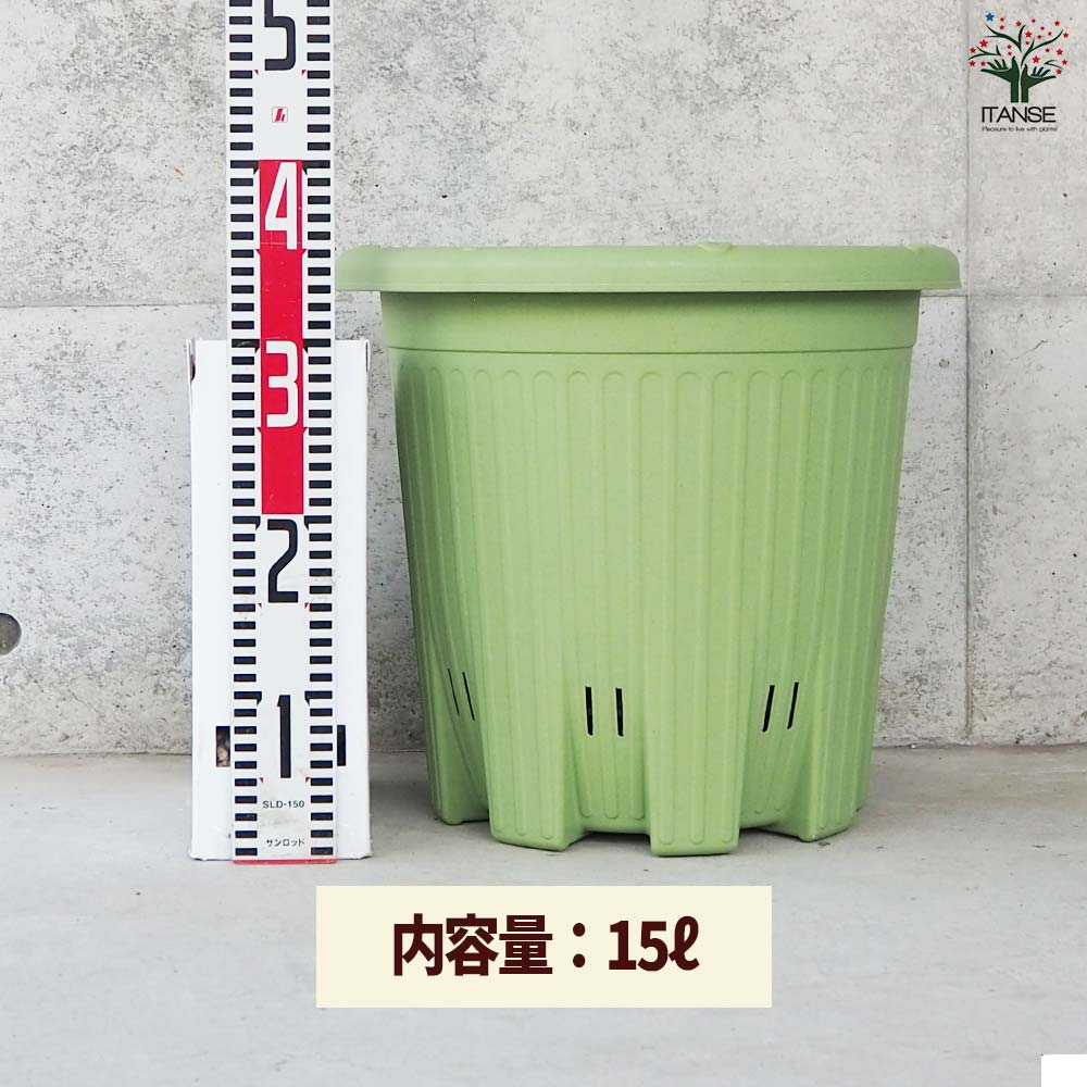 楽々菜園(丸型) サラダグリーン380【資材】
