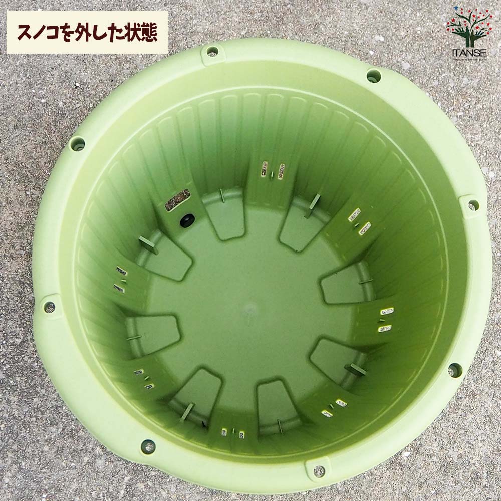 楽々菜園(丸型) サラダグリーン380【資材】