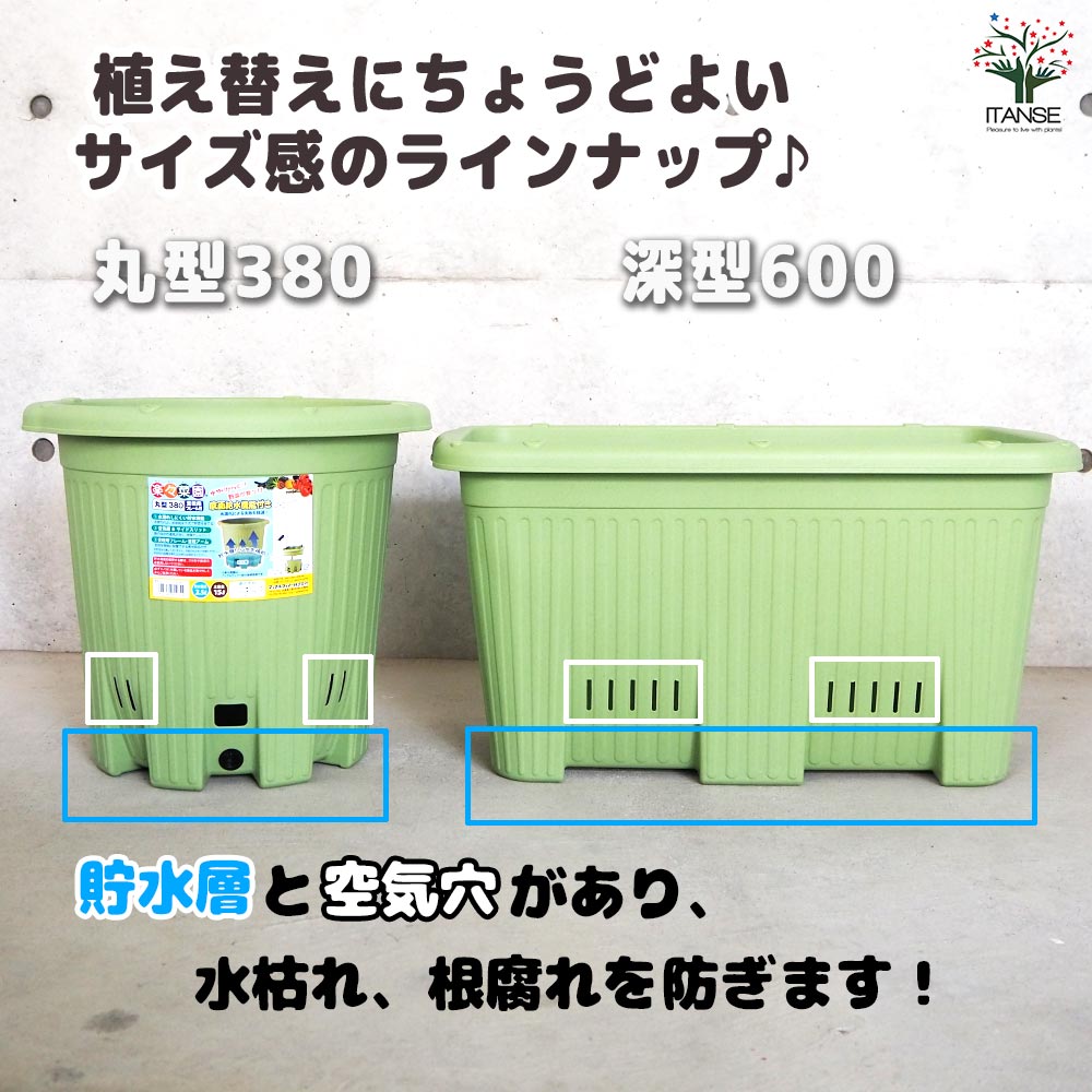 楽々菜園(丸型) サラダグリーン380【資材】