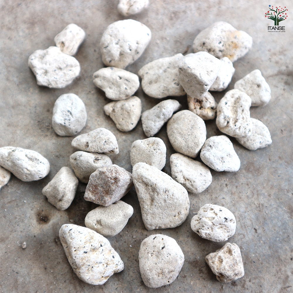 趣味の園芸、プランター、鉢、苗鉢、まとめてセット 趣味の園芸、プランター、鉢、苗鉢、まとめてセット│tabi-station.co.jp