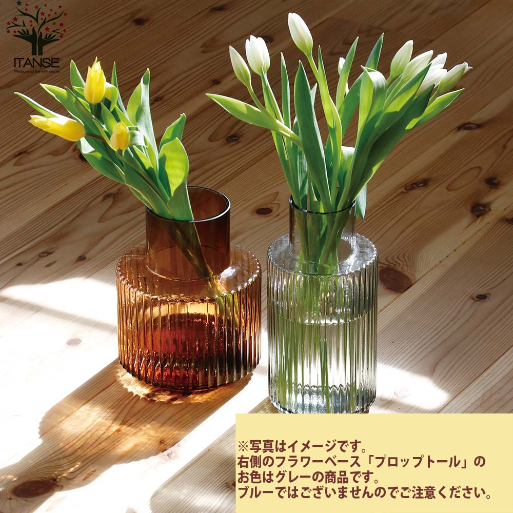 GLASSフラワーベース プロップトール・ブルー【吹きガラス／Size:底面