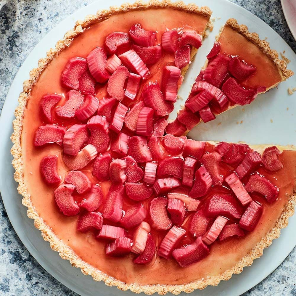 ルバーブの苗 西洋野菜苗【ハーブの苗 15cmポット大苗】｜ 【植物の