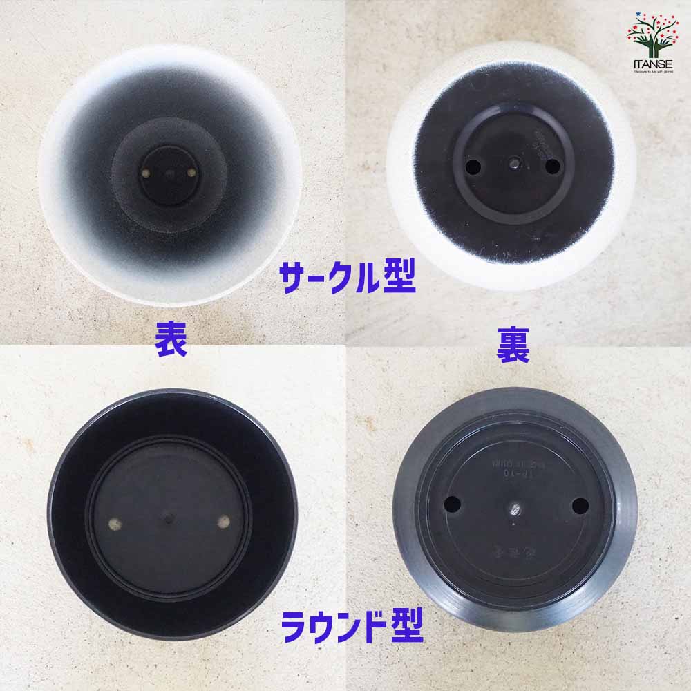 モーンガータ【2種類の型のデザインプラスチック鉢】
